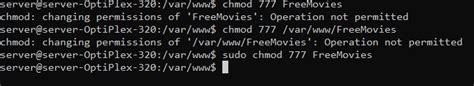 chmod 777 operation not permitted|chmod 777 is not changing the permissions to 777 .